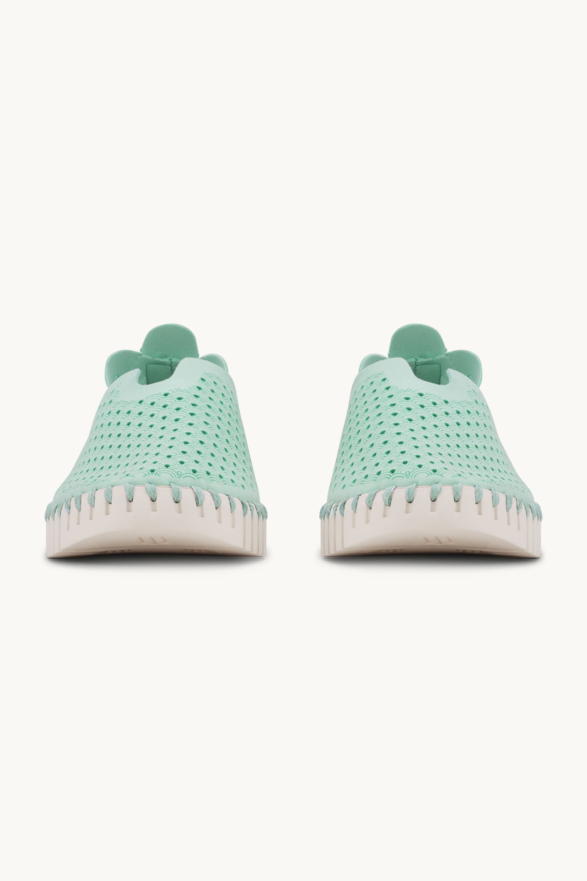 Tulip Slipper - Yucca