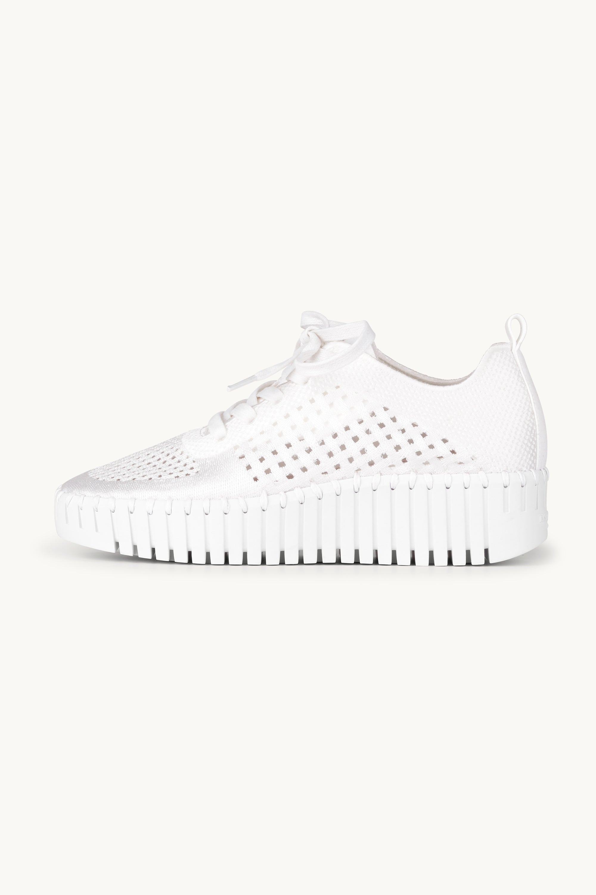 Tulip Slipper Mit Schnürung - White White