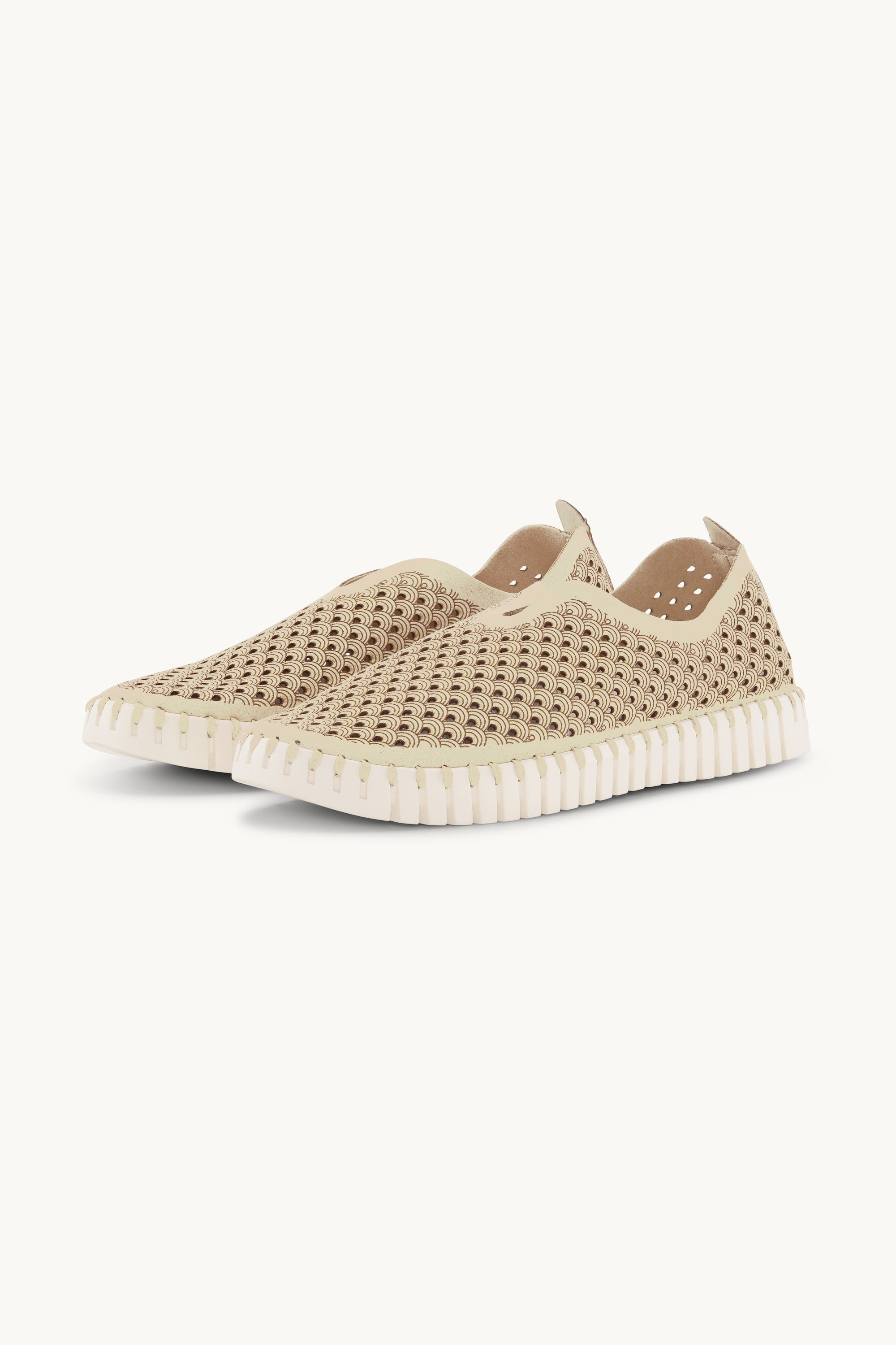 Tulip Schuh - Kit