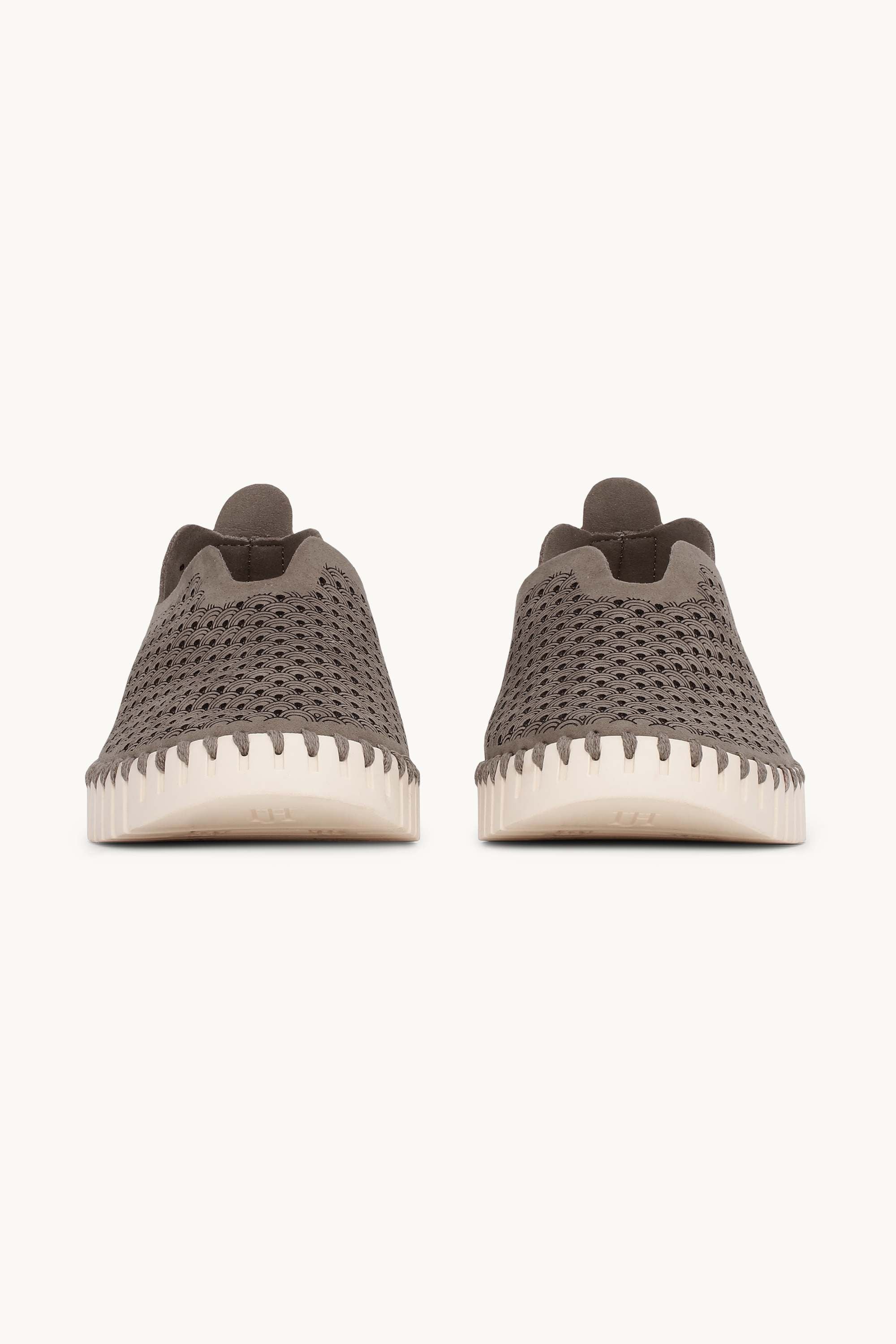 Tulip Slipper - Falcon