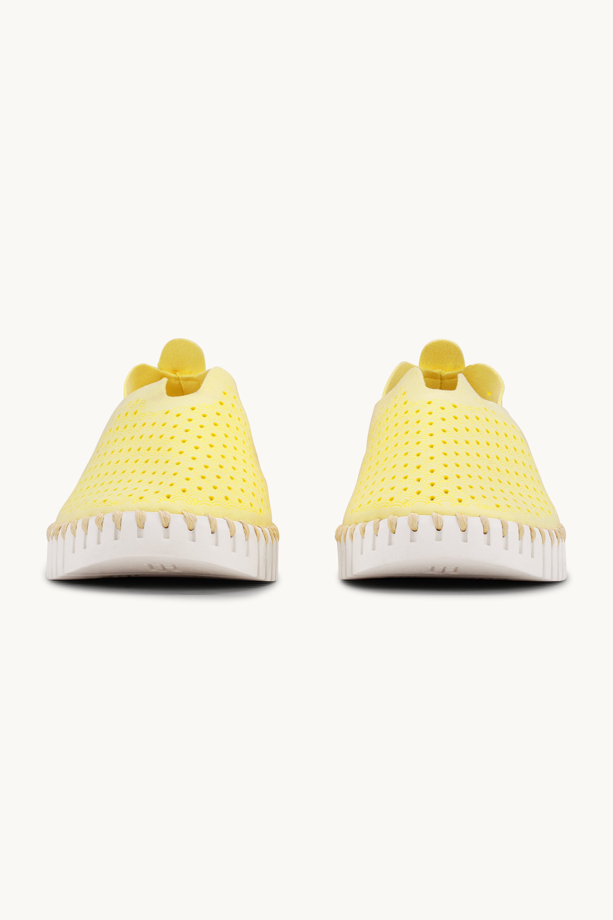 Tulip Slipper - Lemon Drop