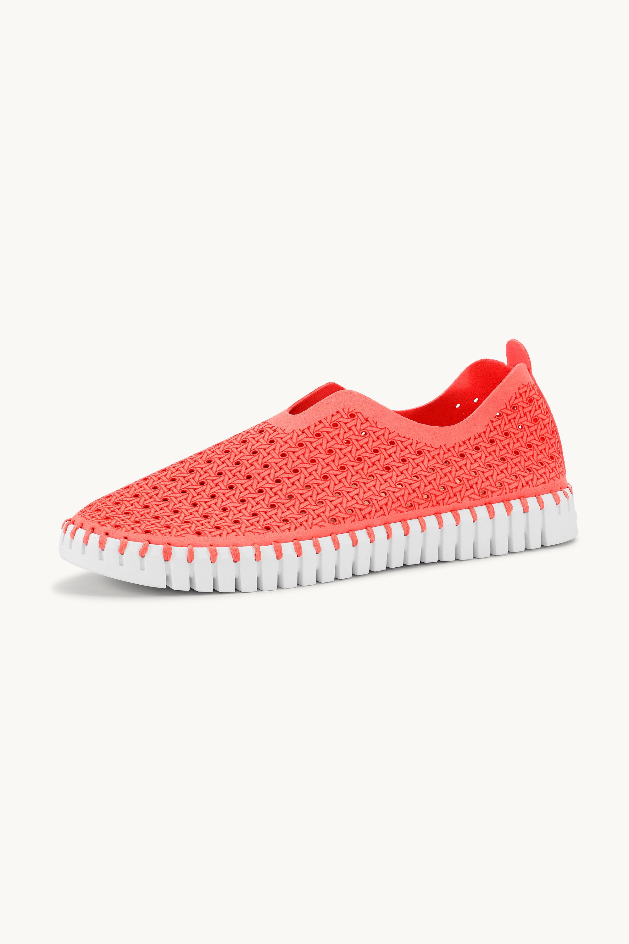 Tulip Slipper - Raspberry White