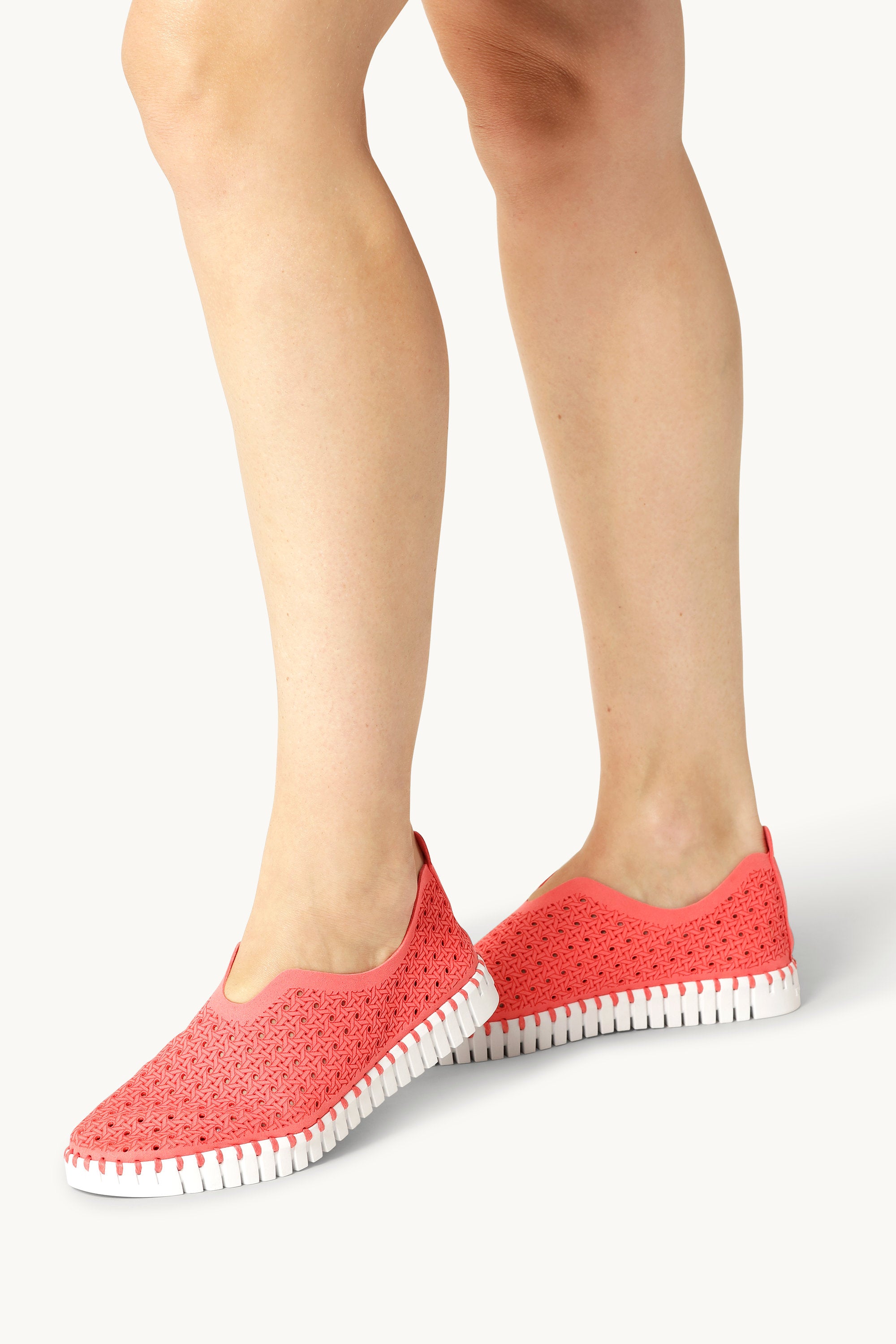 Tulip Slipper - Raspberry White