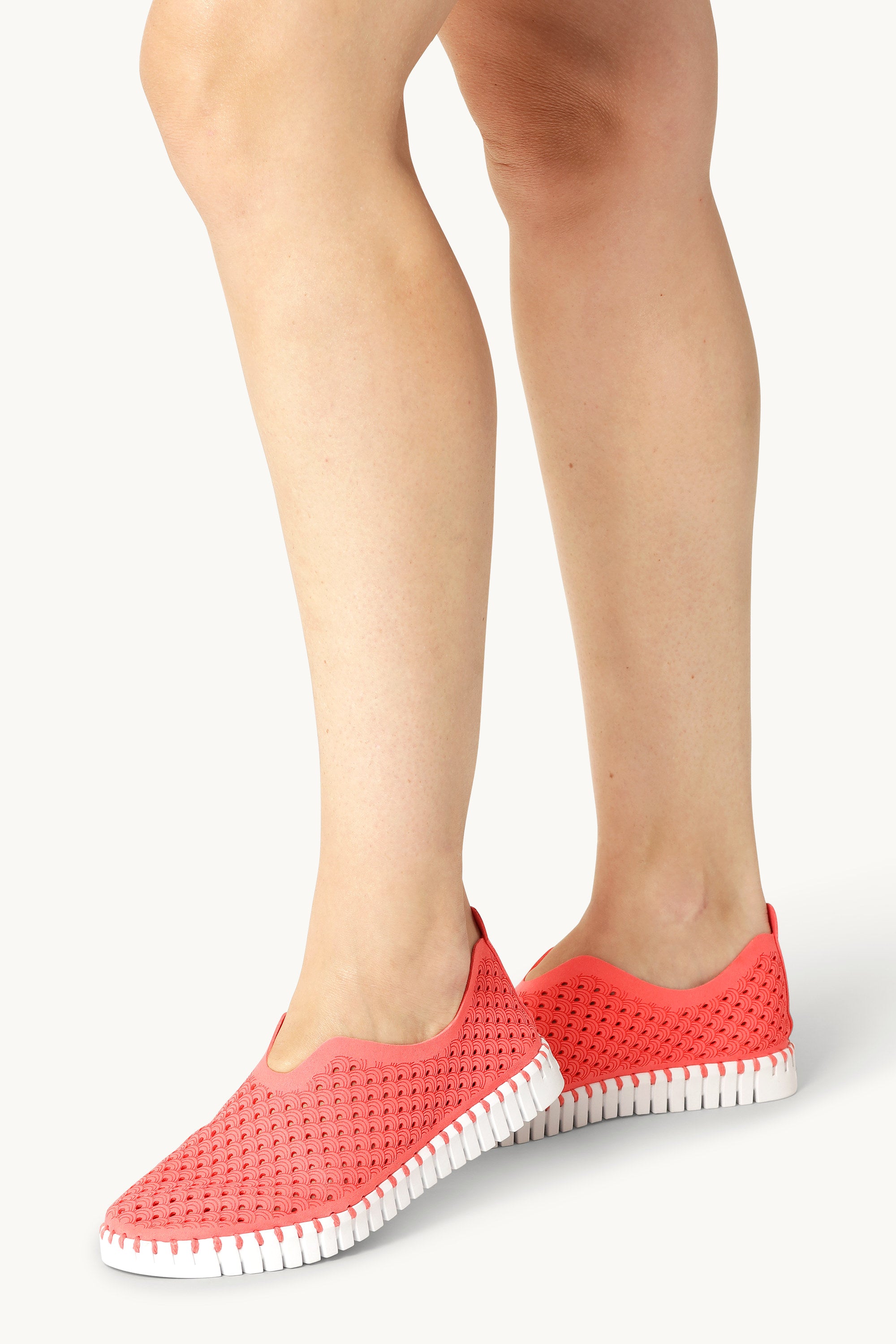 Tulip Slipper - Raspberry White
